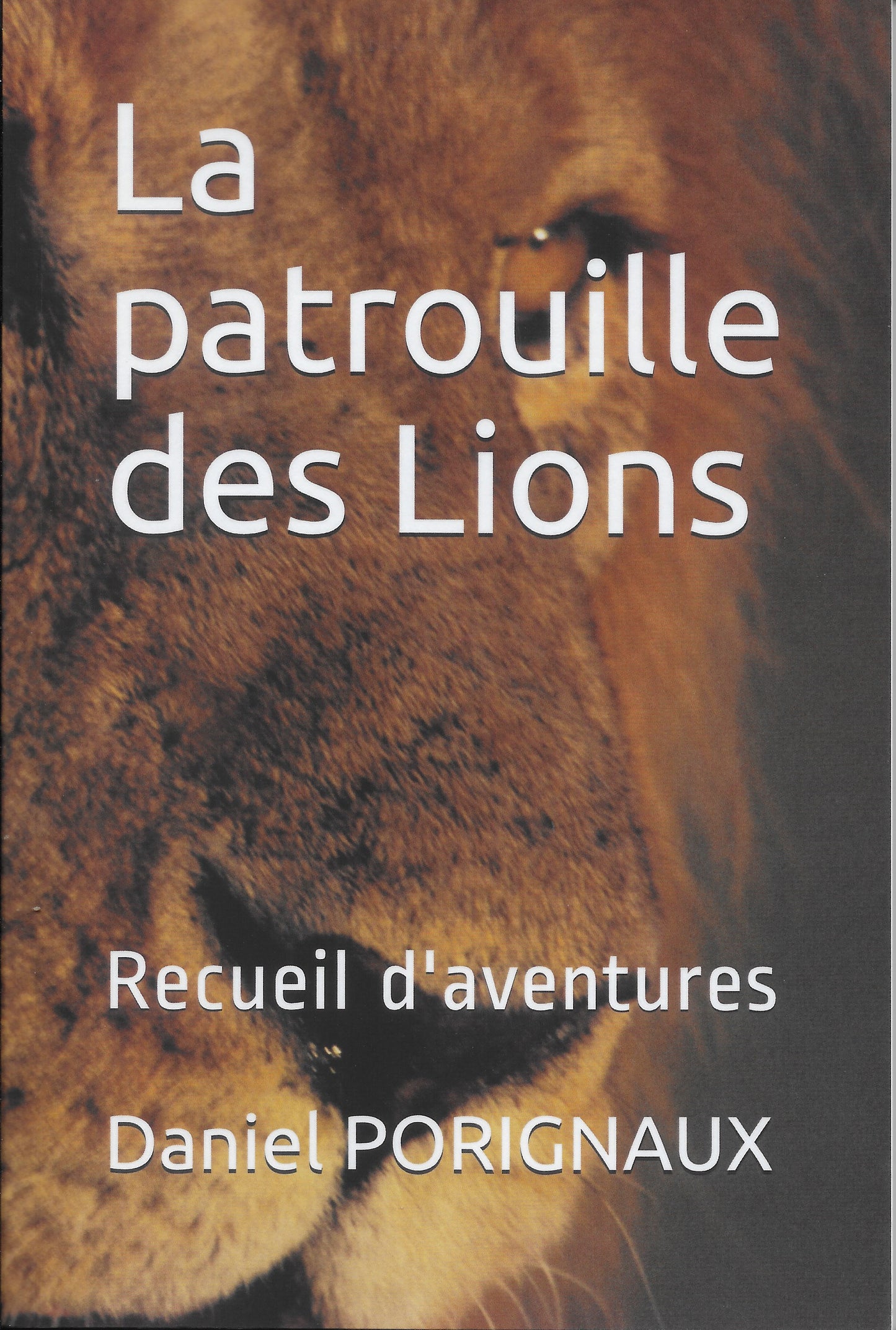 La patrouille des Lions
