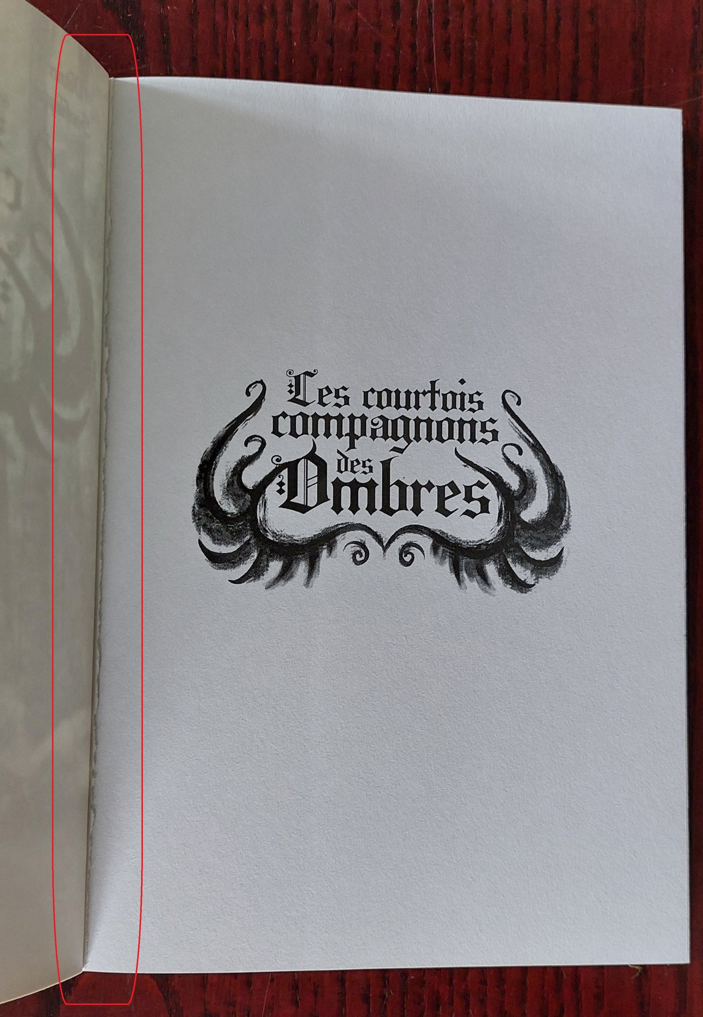 Les courtois compagnons des ombres (légèrement abimé)