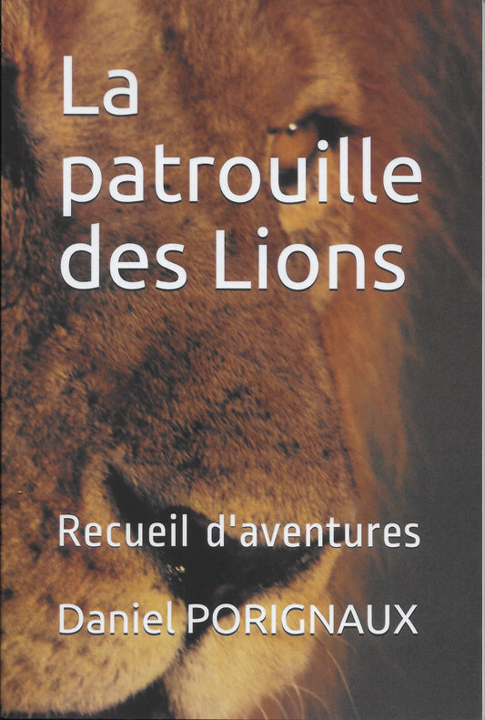 La patrouille des Lions